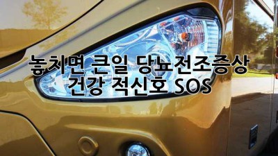 🚨 놓치면 큰일! 당뇨전조증상, 건강 적신호 SOS 🚨