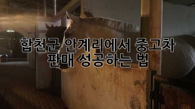 합천군 안계리에서 중고차 판매 성공하는 법 🚗💨