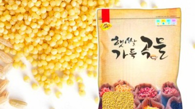 찰기 가득! 국산 찰기장 노랑기장 1kg 후기 (꿀팁 대방출!)