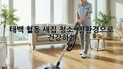 태백 혈동 새집 청소 ✨ 친환경으로 건강하게! 🏡