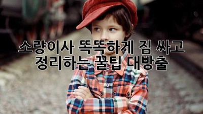 📦 소량이사, 똑똑하게 짐 싸고 정리하는 꿀팁 대방출! 🍯
